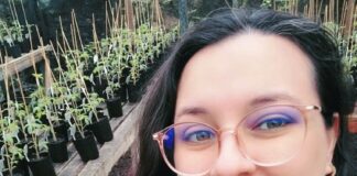 Governo do Amazonas apoia estudo de bactérias amazônicas com potencial para combater doenças agrícolas