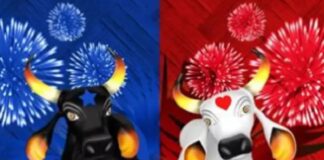 Último ensaio dos bois Caprichoso e Garantido no Sambódromo é marcado pela energia das torcidas