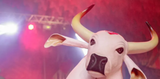 Garantido fora da disputa? Presidente da associação ameaça não participar do Festival de Parintins 2023