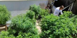 Debate sobre descriminalização da posse de drogas pode voltar ao STF nesta quinta-feira