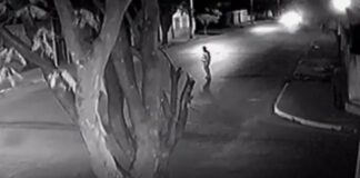 Vídeo: idosa morre atropelada e motorista foge sem prestar socorro