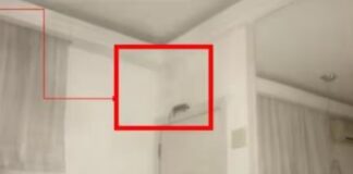 Mulher será indenizada após ser mordida por rato em motel de luxo