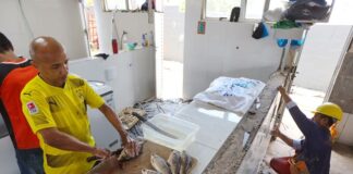 Trinta feiras e mercados de Manaus serão reformados por meio de convênios entre Governo e Prefeitura