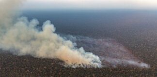 Manaus e cidades do interior do AM ficam cobertos por fumaça de queimadas