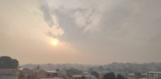 Fumaça em Manaus é causada por 60 focos de queimadas no AM