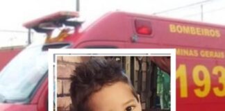 Criança de 5 anos morre após picada de escorpião em escola