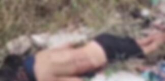 IMAGENS FORTES! corpo de homem é encontrado com vários tiros na cabeça