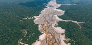 Medidas para enfrentrar a maior seca em 121 anos do Rio Negro
