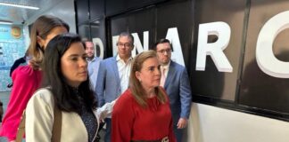 Única mulher conselheira, Yara Lins disse que relutou em fazer a denúncia. “Mas eu não poderia me acovardar”