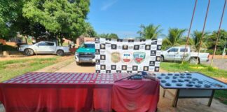 Drogas, armas de fogo e munições são apreendidas durante Operação no interior do AM