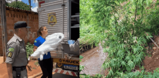 Após discutir com esposa, homem mata o próprio filho, de 1 ano e 7 meses, e joga o corpo da criança