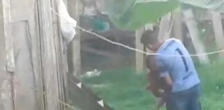 VÍDEO: vizinha filma homem agredindo ex-companheira com o filho no colo