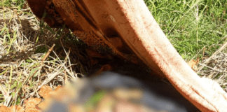 Entregador que estava desaparecido é encontrado morto, em Manaus