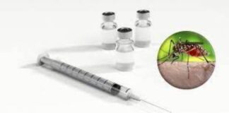 Dez estados já iniciaram a vacinação contra a dengue em crianças