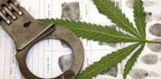 URGENTE: CCJ do Senado aprova PEC que criminaliza porte e posse de qualquer quantidade de drogas