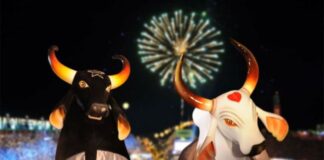 Governo do Amazonas lança 57º Festival Folclórico de Parintins