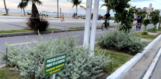 No calçadão da Beira-Mar, canteiro cultivado por trabalhadores chama atenção