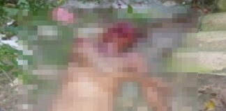 Criminosos atacam e matam homem com brutalidade na zona Norte de Manaus; imagens fortes