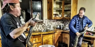 Americana descobre píton de cinco metros após achar que casa foi invadida por ladrão