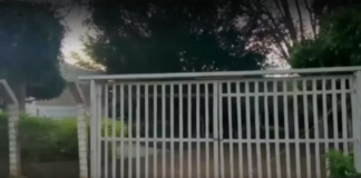 Idosas são agredidas com enxada em tentativa de assalto no Ceará