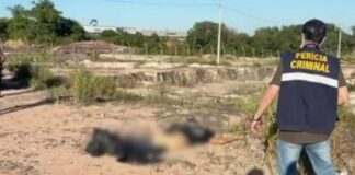 Corpo de homem é encontrado com saco preto na cabeça e marcas de facada no bairro Colônia Santo Antônio