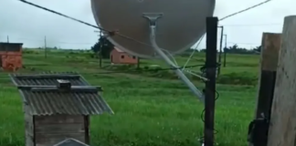 Imagens fortes: Pitbull invade residência e mata cachorro de estimação; veja o vídeo