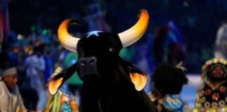 Boi Caprichoso é o grande vencedor do Festival de Parintins 2024