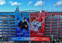 Apuração do Festival de Parintins é nesta segunda-feira