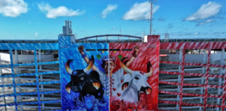 Apuração do Festival de Parintins é nesta segunda-feira