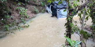 Bebê desaparece e mulheres morrem após caminhonete cair em igarapé