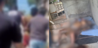 VÍDEO: primo é preso suspeito de estrangular e matar mulher em Manaus