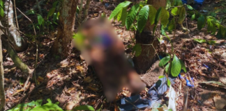 Corpo é encontrado com sinais de tortura e corda no pescoço na zona Norte de Manaus