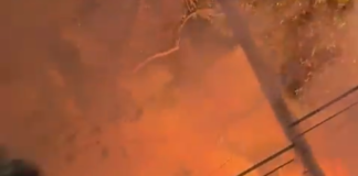 Vídeo: Parque do Idoso é atingido por incêndio criminoso em Manaus