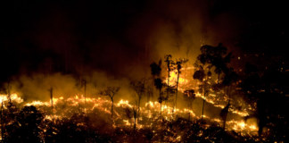 Polícia Federal abre 31 inquéritos para investigar incêndios na Amazônia, Pantanal e São Paulo