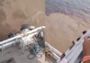 Vídeo: Barco encalha no Encontro das Águas e passageiros ficam apreensivos em Manaus