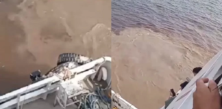 Vídeo: Barco encalha no Encontro das Águas e passageiros ficam apreensivos em Manaus