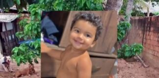 Bebê de 1 ano morre após ser atacado por pitbull no interior de Rondônia