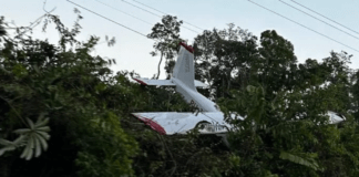 Avião de pequeno porte cai próximo a pista na BR-174