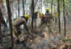 Em setembro, Corpo de Bombeiro combateu mais de 6,6 mil focos de incêndio no estado do AM