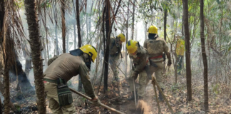 Em setembro, Corpo de Bombeiro combateu mais de 6,6 mil focos de incêndio no estado do AM