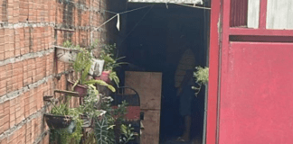 Casal de idosos é encontrado morto a facadas dentro de casa em Manaus; veja o rastro de violência