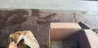 PF apreende malote com quase R$ 800 mil em avião durante operação contra crimes eleitorais no AM