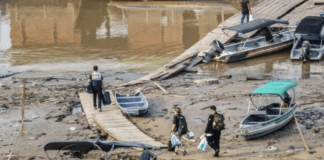 Pescadores de 48 cidades do Amazonas receberão R$ 2.824 de seguro-defeso