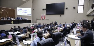 Criadores de cultura discutem o futuro das profissões culturais na Aleam