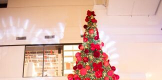 Veja como vai ficar o horário do comércio no Natal e Ano Novo