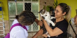 Prefeitura de Manaus oferta vacina antirrábica em rede de supermercados da capital