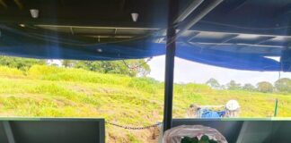 Cocaína em formato de limões é apreendida em embarcação no AM