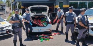 Motorista é preso com 600kg de maconha em porta-malas no interior de SP