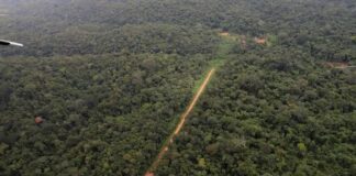 MPF cobra fiscalização contra aeronaves a serviço do garimpo ilegal no AM