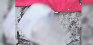 Feto é encontrado em lixeira na zona norte de Manaus; caso será investigado